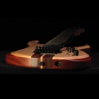 Christopher Woods Guitar-bvd-G 413.jpg